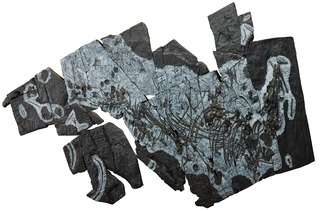 10）ウタツサウルス