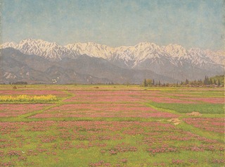 10）れんげ草