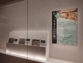 IMG_20231211_171311714