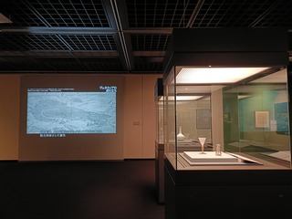 IMG20250214152938
