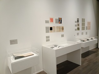 IMG20250303145221