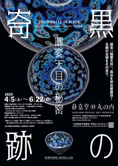 黒の奇跡_page-0001