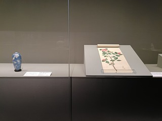IMG20240830141328