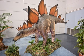 4.ステゴサウルス