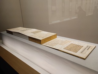 IMG_20241220_140434786