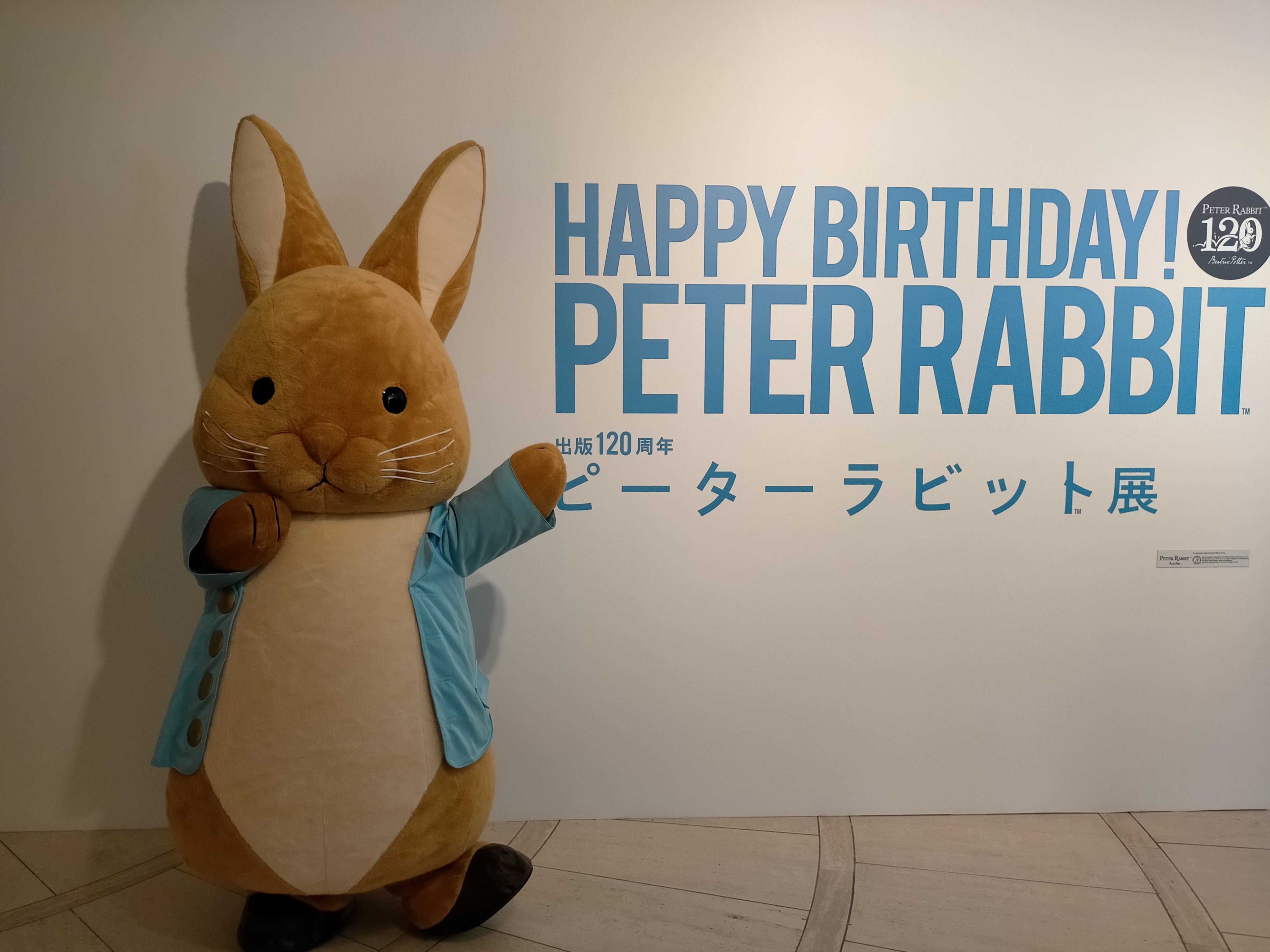 出版120周年 ピーターラビット™展」東京・世田谷美術館 : 美術散歩