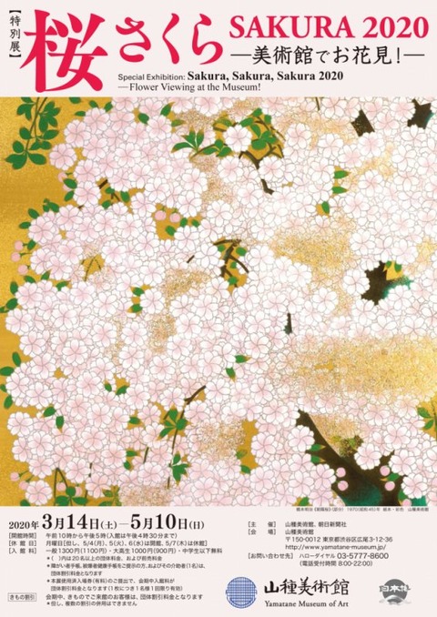 chirashi1