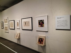 IMG20231117161316
