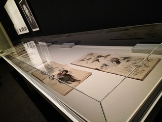 IMG20240315131422