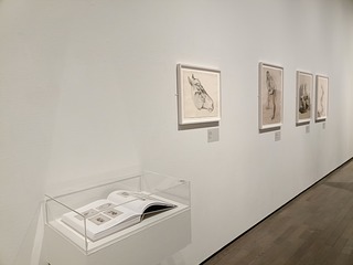 IMG20250303142611