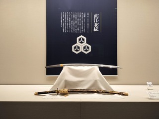 IMG20240621152935