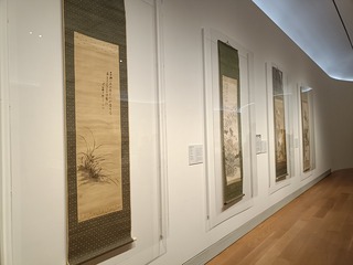 IMG20251122111206岡