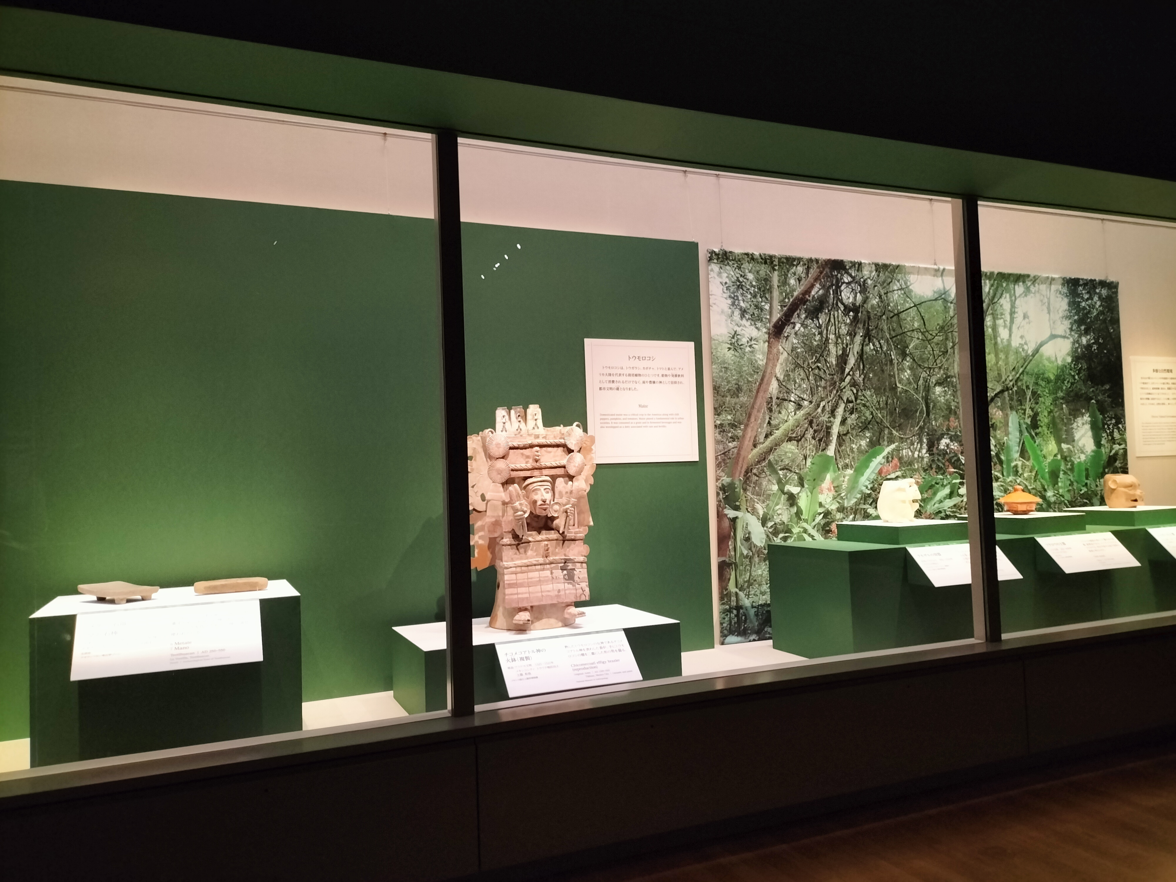 特別展「古代メキシコ ―マヤ、アステカ、テオティワカン」東京 特別展「古代メキシコ ―マヤ、アステカ、テオティワカン」東京
