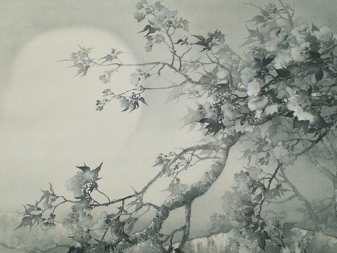 IMG_20180223_134253_1