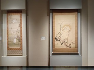 IMG_20240930_182242856