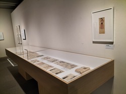 IMG20231117155927