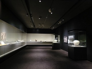 IMG20240830132812