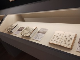 IMG_20231211_165410071