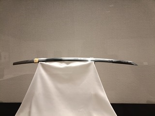 IMG20250411154739