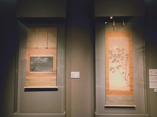IMG_20250310_173332121_HDR