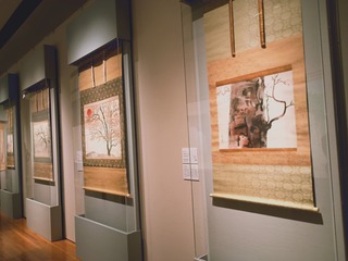 IMG_20250310_172916324