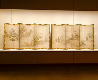 IMG20240913144916