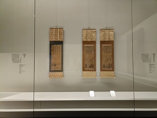 IMG20250919110439