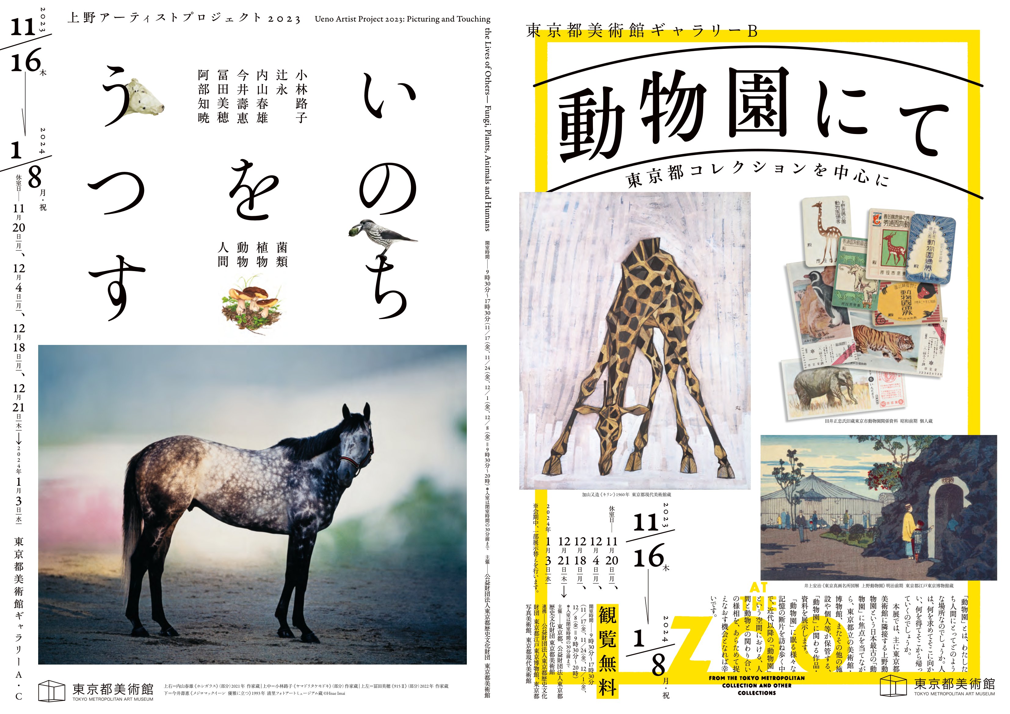 水彩画上野動物園の仲間達