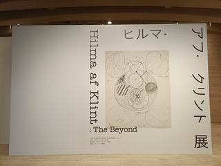 IMG20250303142424