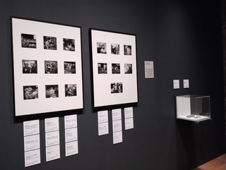 IMG_20250704_153136250_HDR