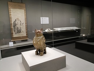 IMG20250606132154