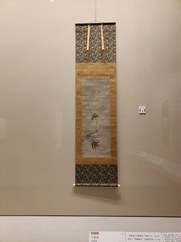 IMG20260529134846