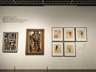 IMG20240520125645