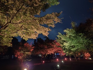 清流