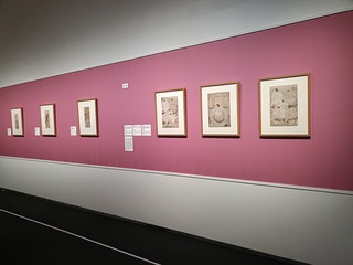 IMG20250526134420
