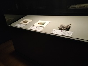 IMG20231010132959