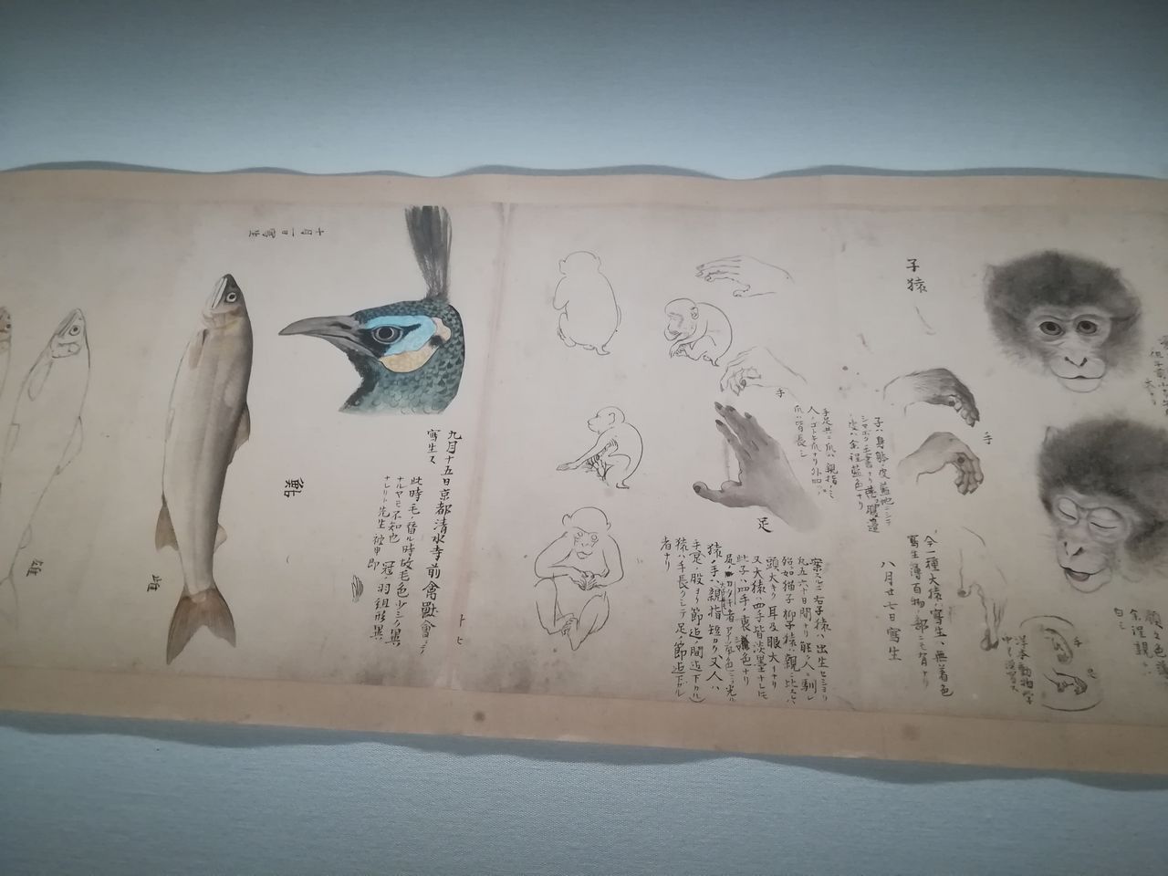 特別展「川合玉堂 ―四季・人々・自然―」＠山種美術館 : 美術散歩