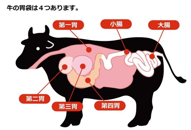 牛には胃が4個ある 海田の四季