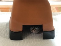 ⑥