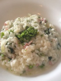 IMG_1481risotto