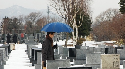 20100312撮影25日目50