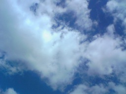 6b4459a2.jpg