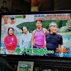 王 キノコ
