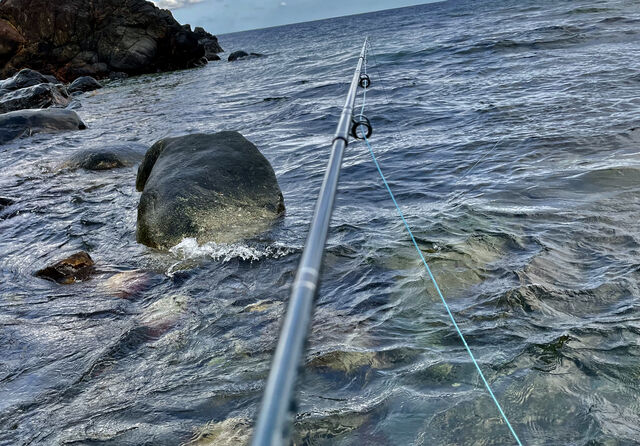 もう休戦しよ 屋久島 海友さんの釣り三昧