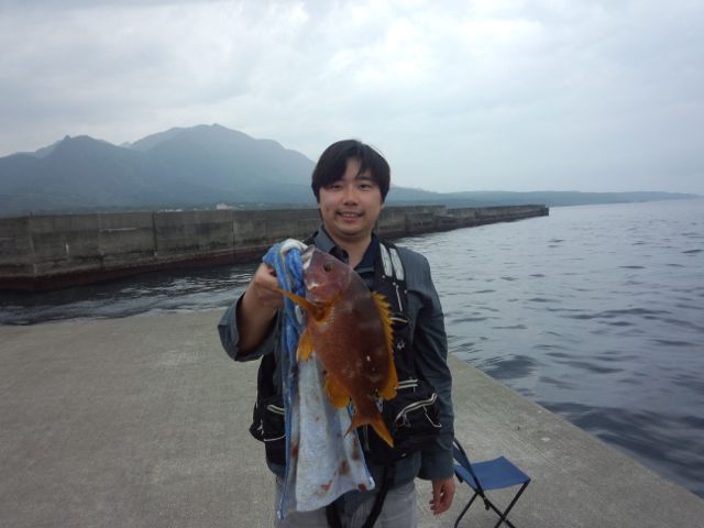 将来が心配である 屋久島 海友さんの釣り三昧 将来が心配である 屋久島 海友さんの釣り三昧