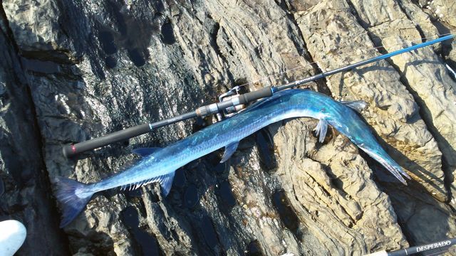 勝負は 夜釣りへとずれ込む 屋久島 海友さんの釣り三昧