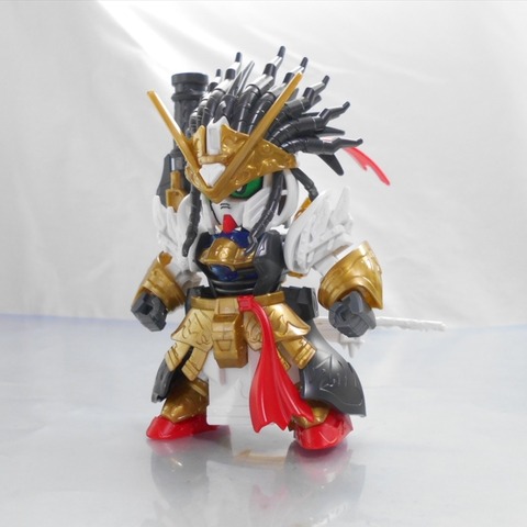 DSCN6420