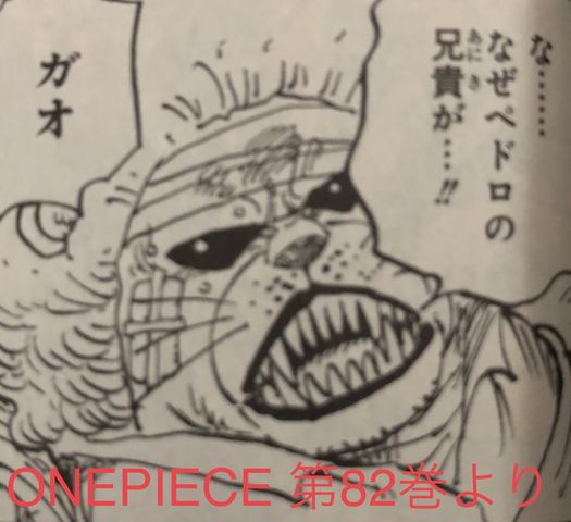 One Piece第7話 ペコムズのカカオ島脱出作戦 感想 海賊乱舞 One Piece第7話 ペコムズのカカオ島脱出作戦 感想 海賊乱舞