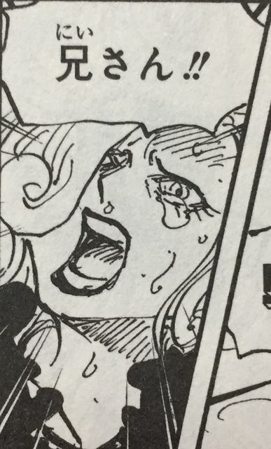 One Piece第巻 カタクリの口とかシャーロット家とか 海賊乱舞