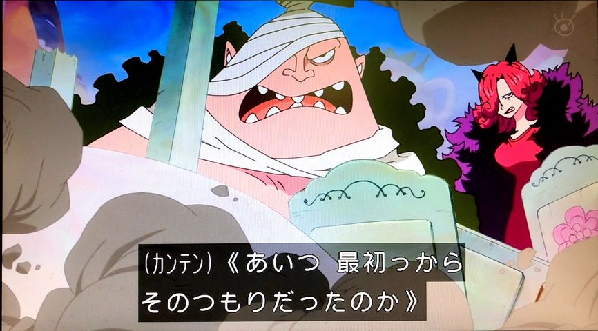 あらすじ 変更点 感想 第9話 悪の軍団 変身 ジェルマ66 アニメone Piece 海賊乱舞